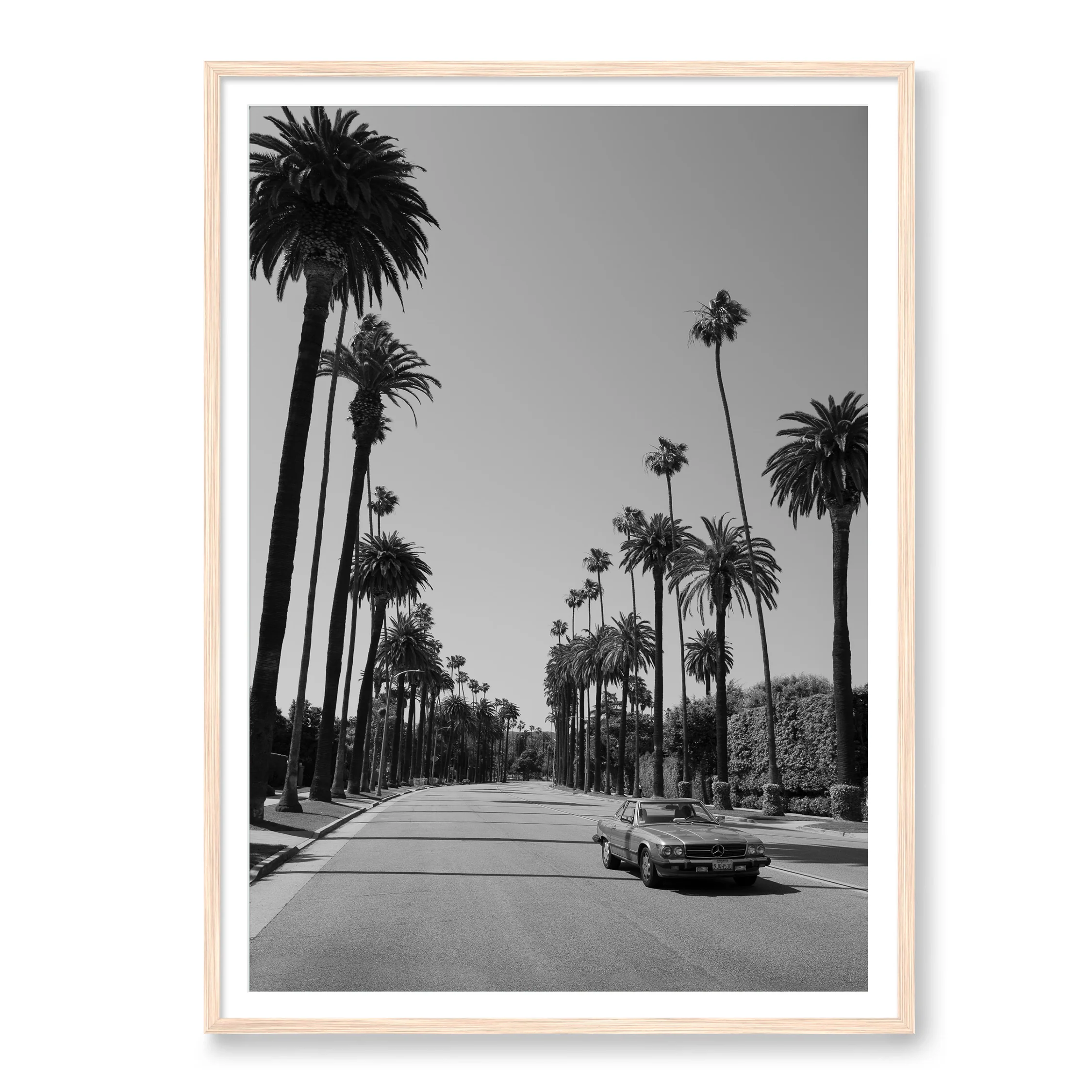 Beverly Hills Drive - Image 3
