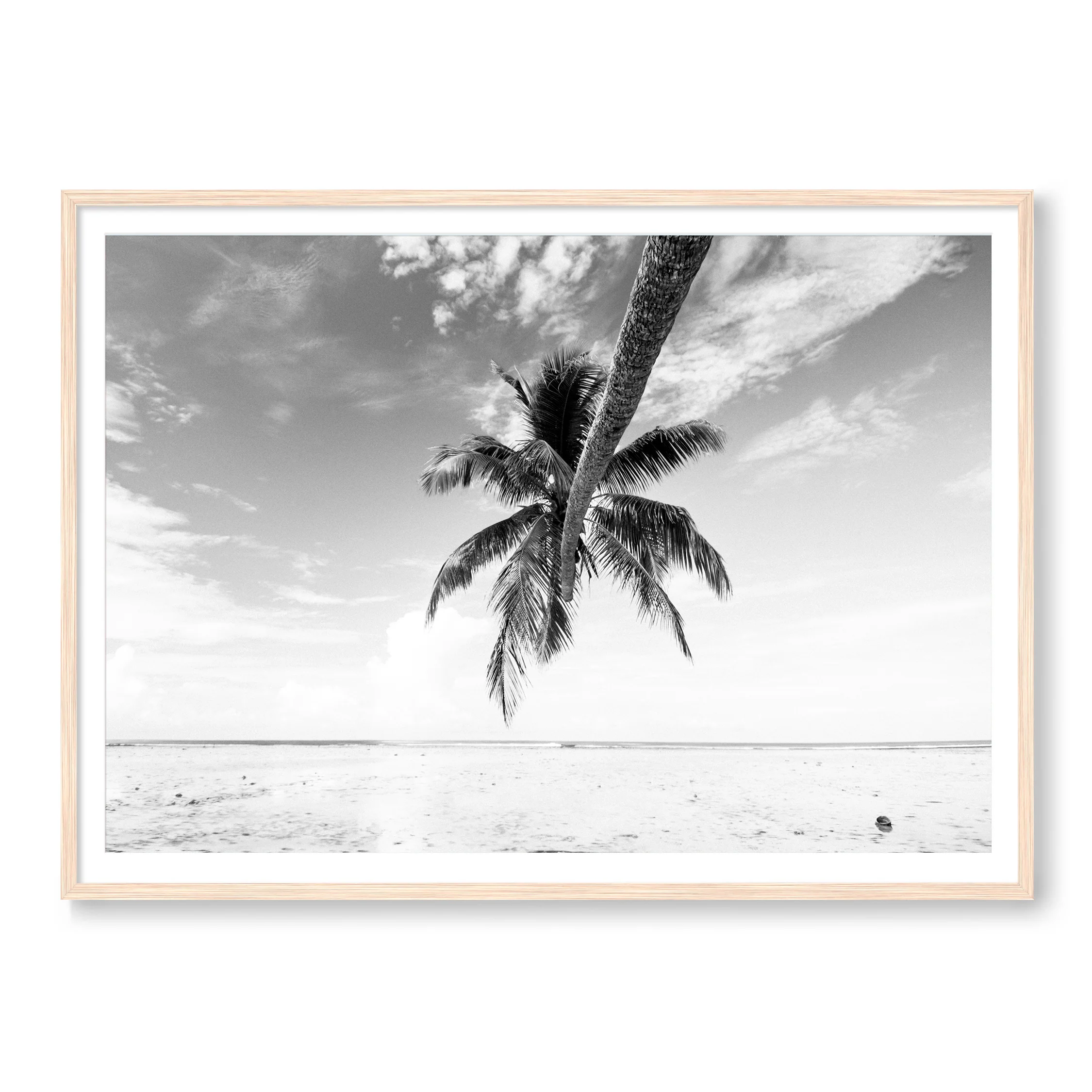 Bula - Image 3