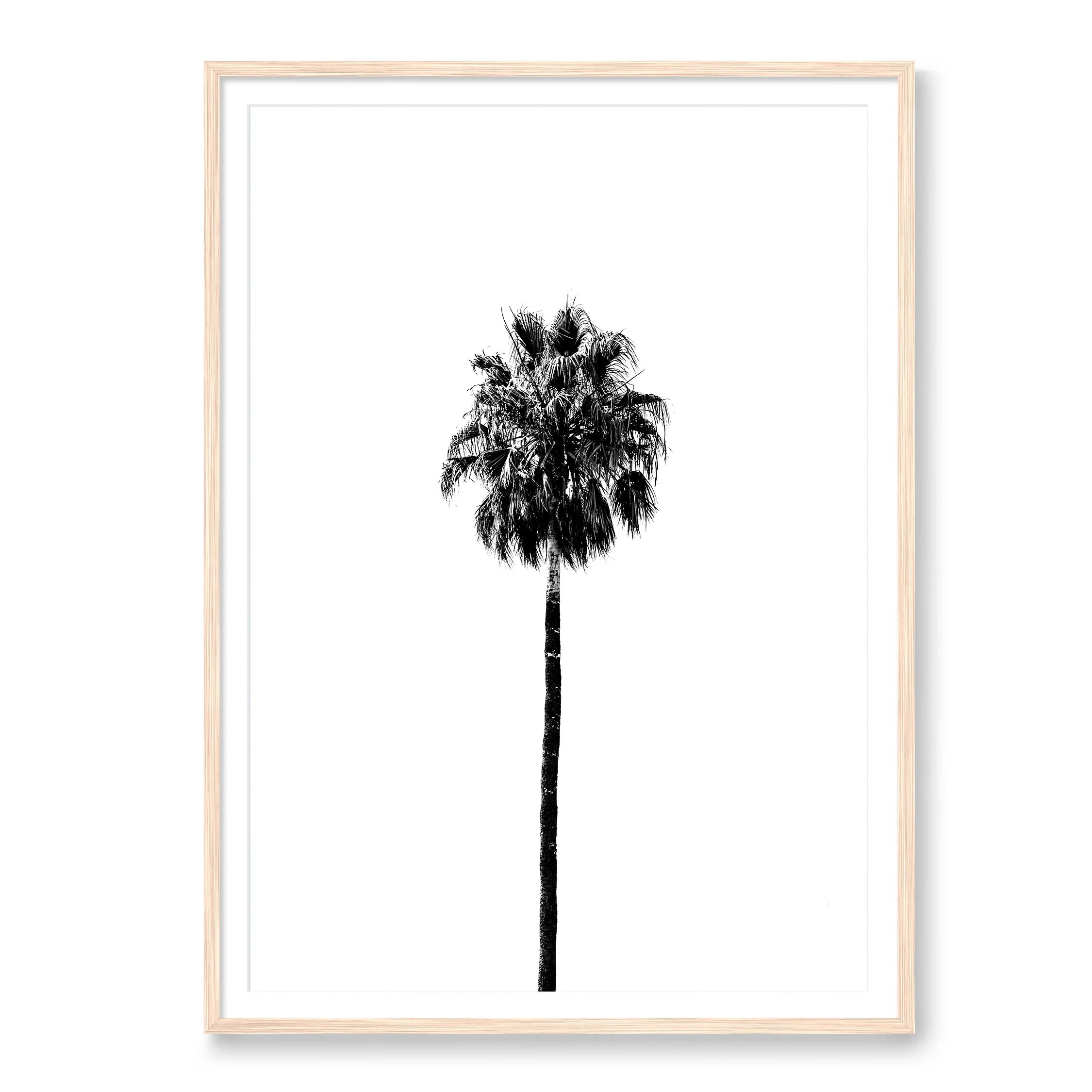 California Soul - Image 3