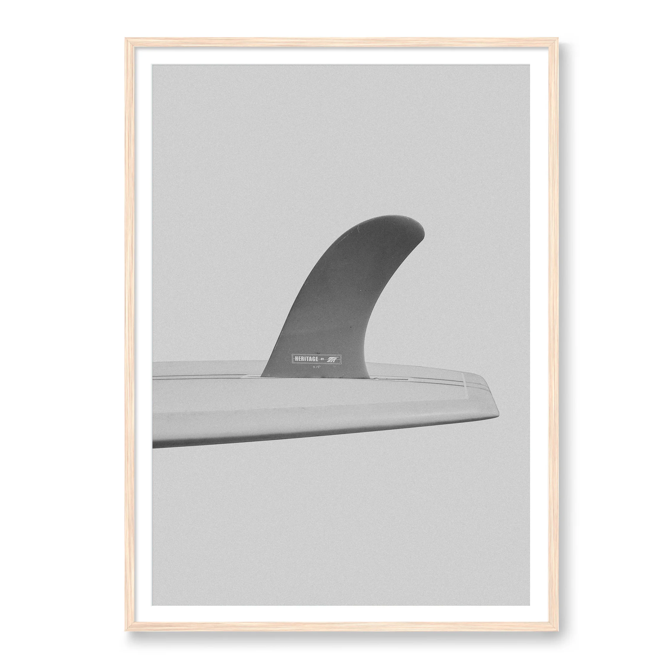 Fin - Image 3