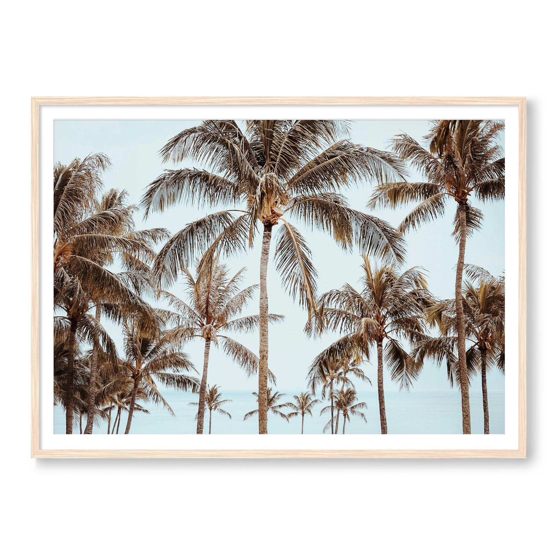 Hawaiian Palms - Image 3
