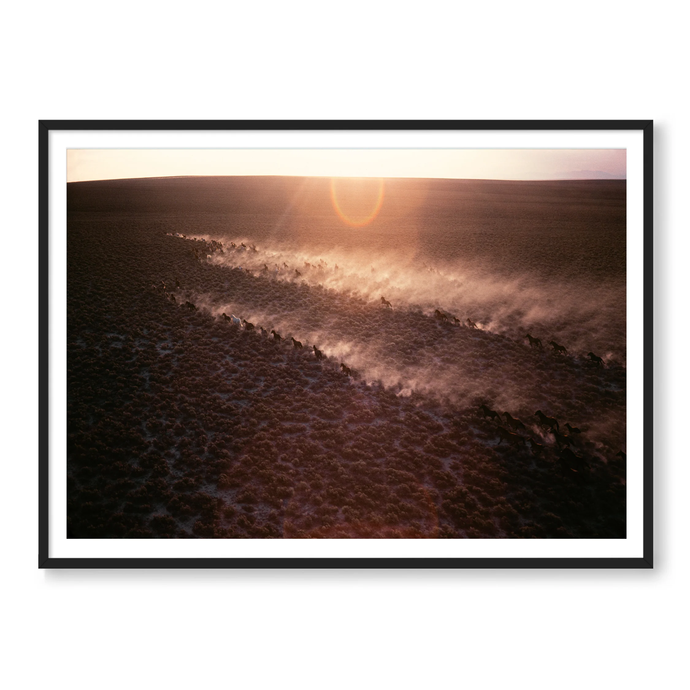 New Arrivals: Art Photography