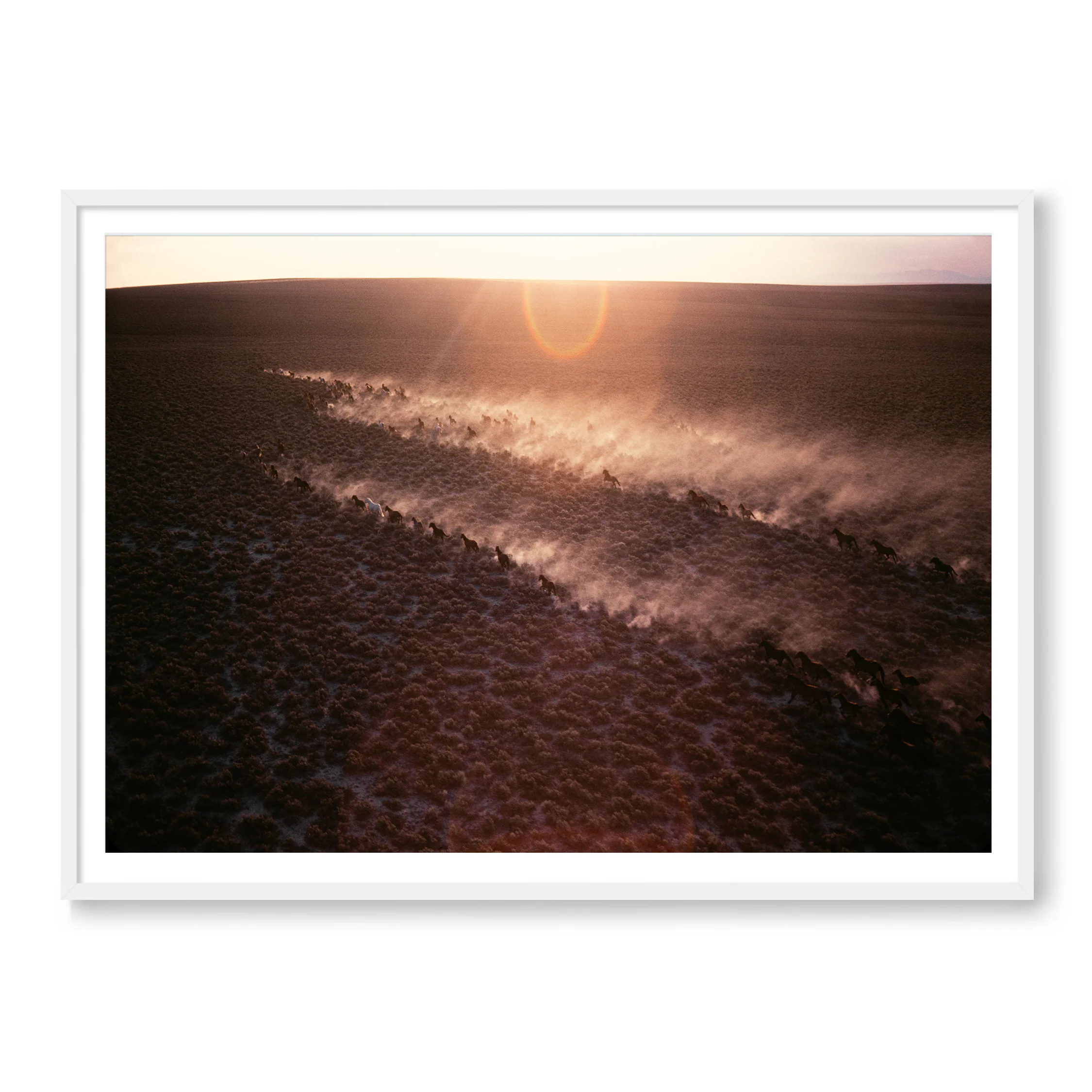 Horse Country - Image 2