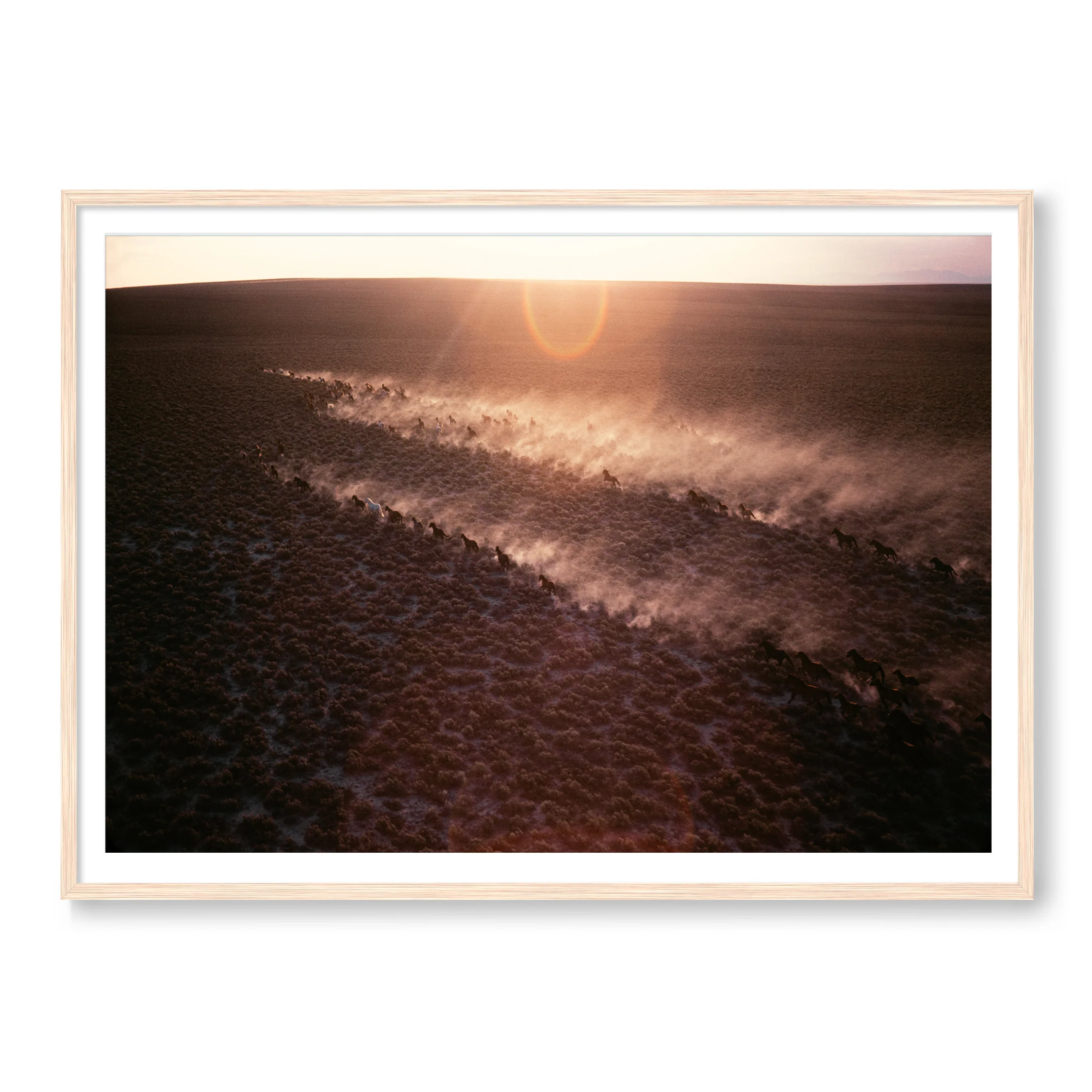 Horse Country - Image 3