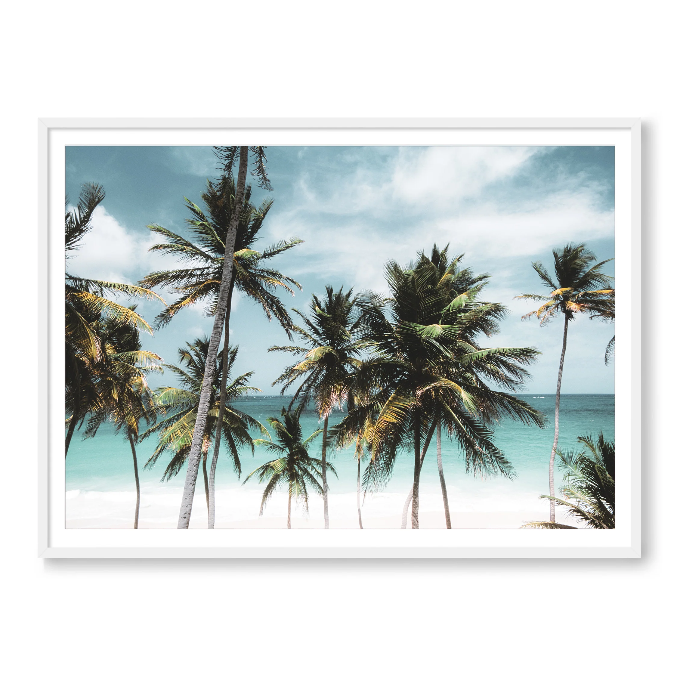 Island Time - Image 2