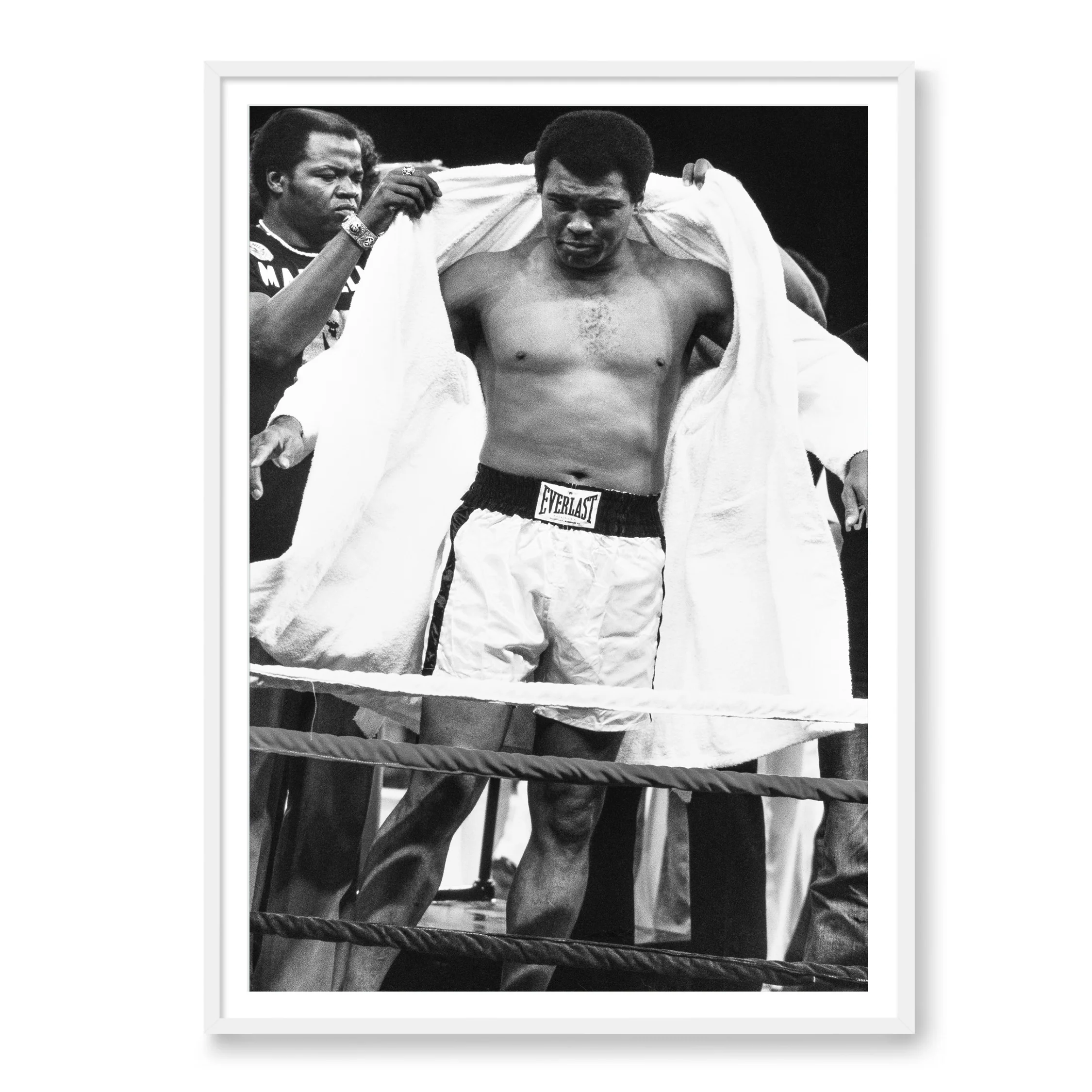 KING OF THE RING - Image 2