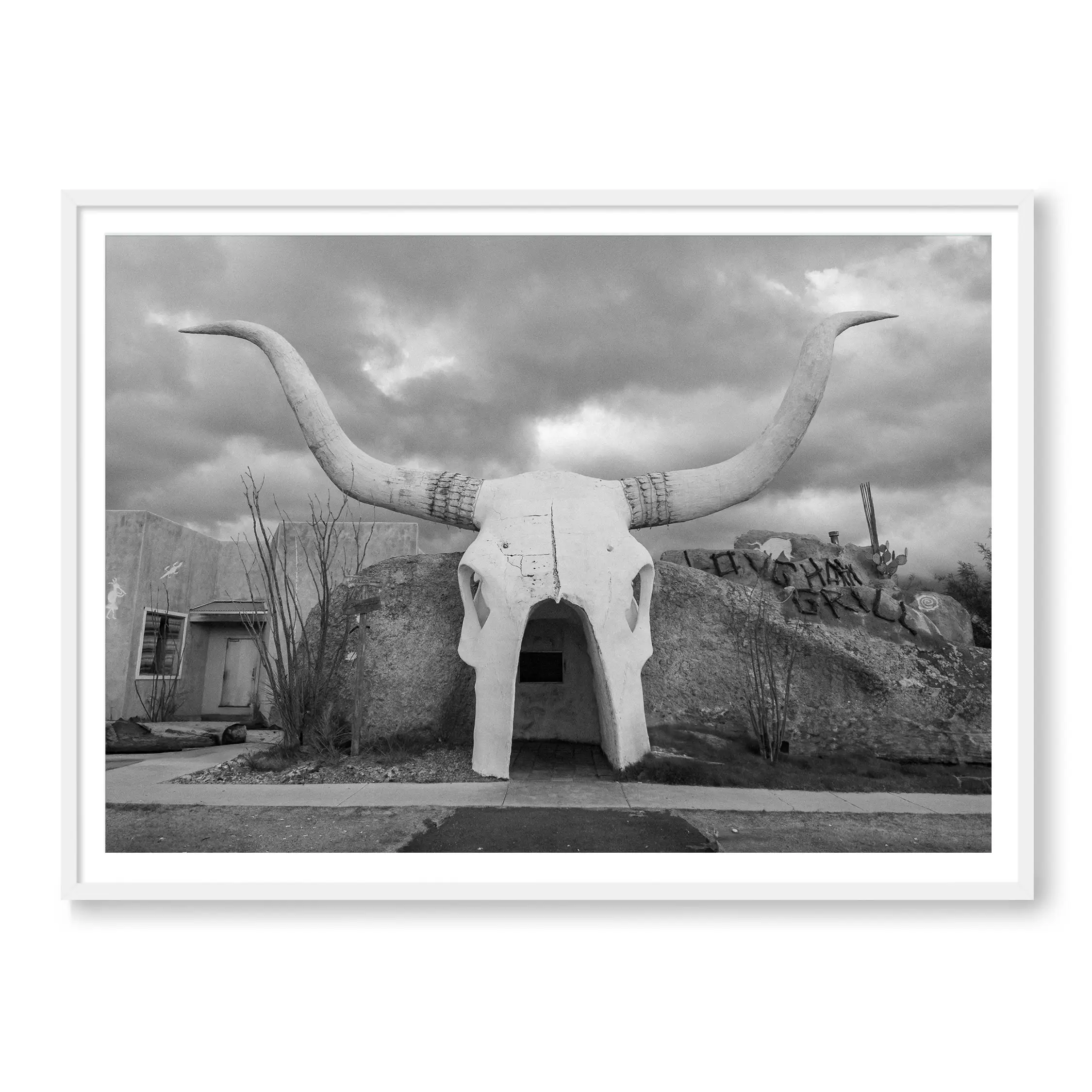 Long Horns - Image 2