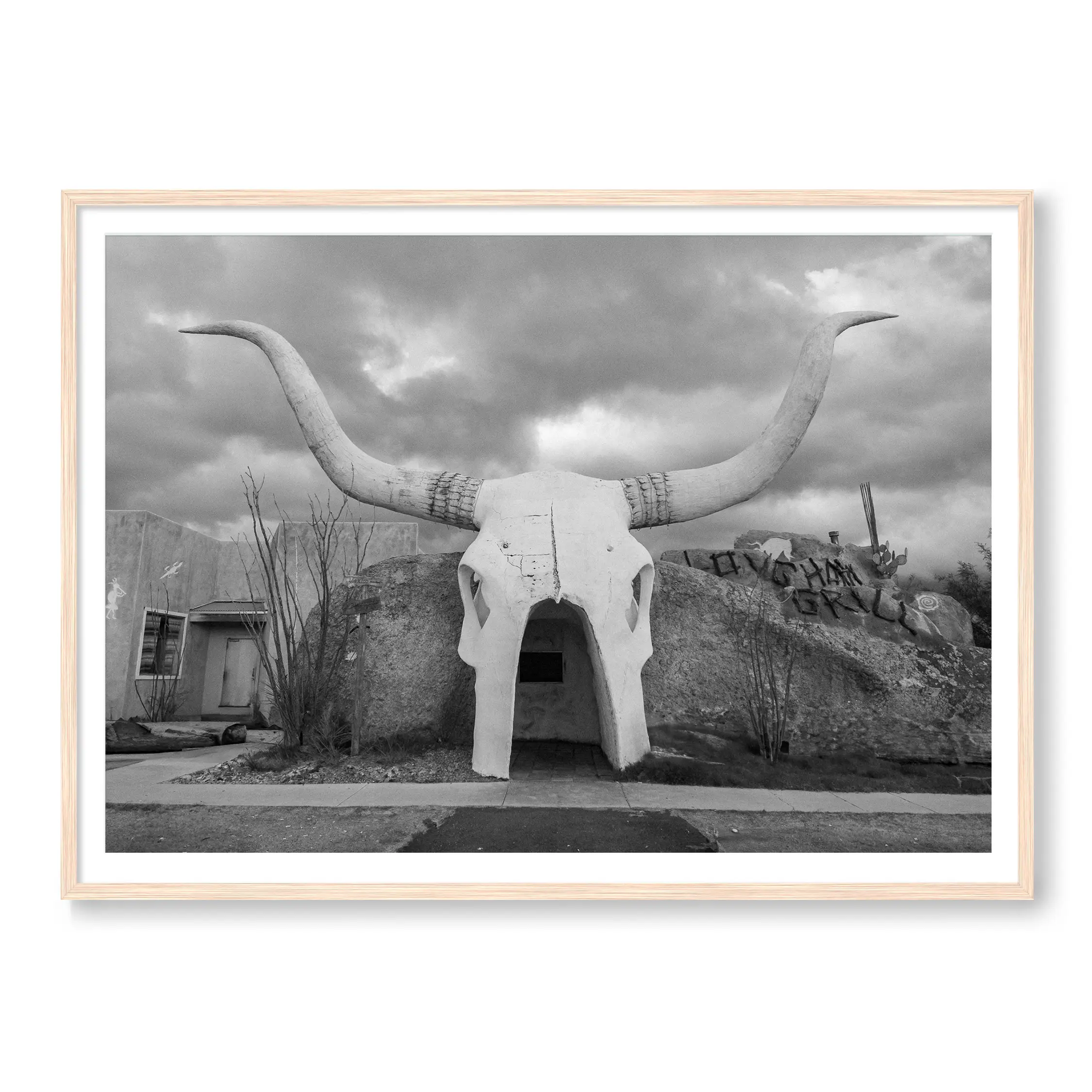 Long Horns - Image 3