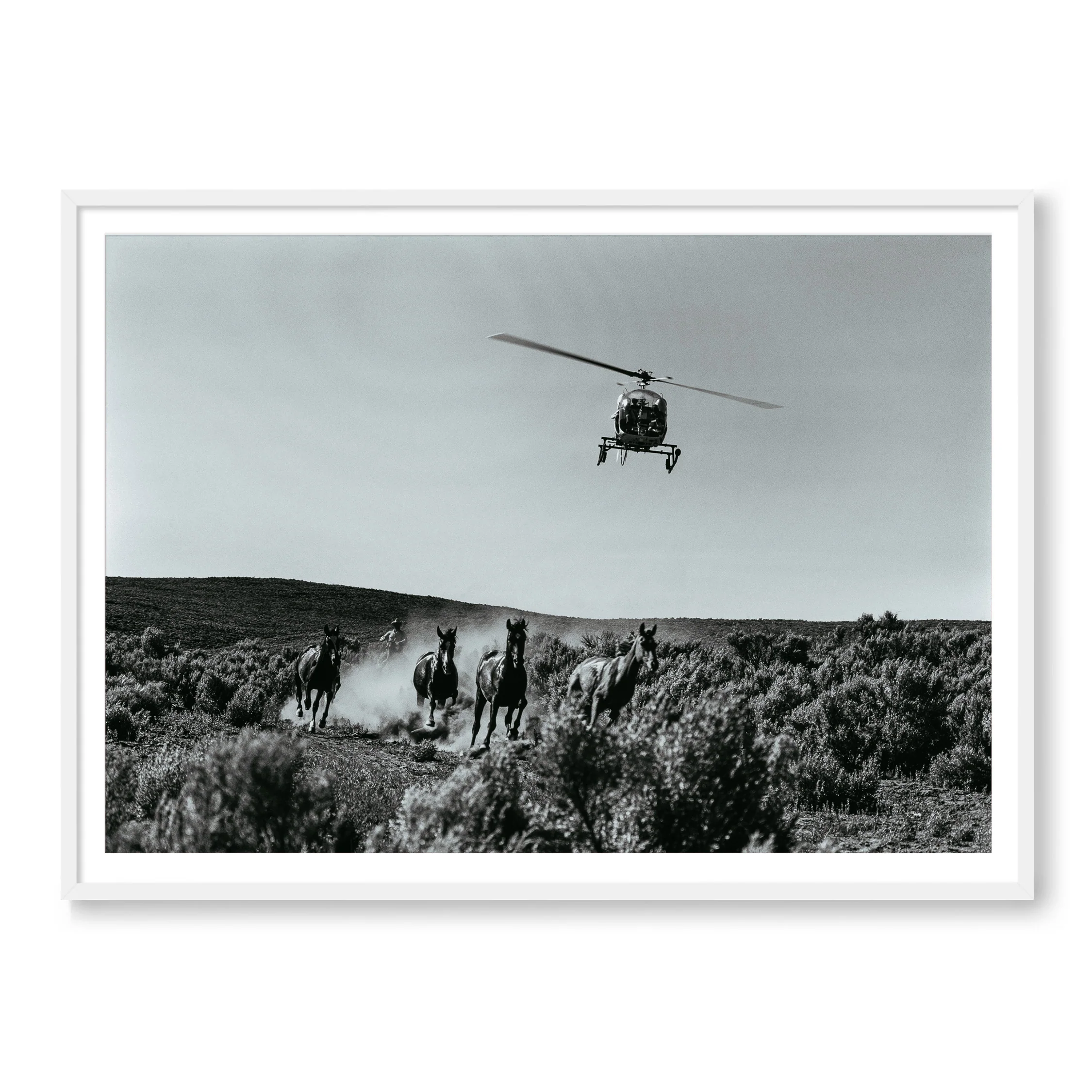 Man vs Wild - Image 2