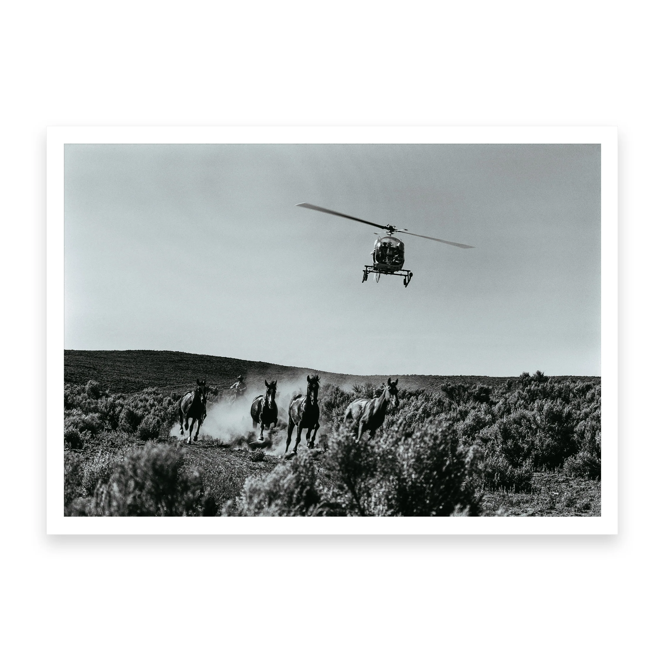 Man vs Wild - Image 4