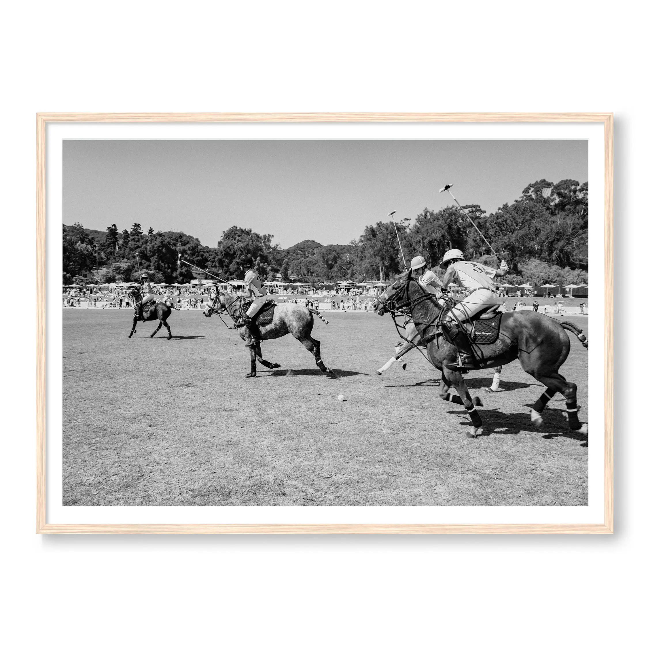 Polo Club - Image 3