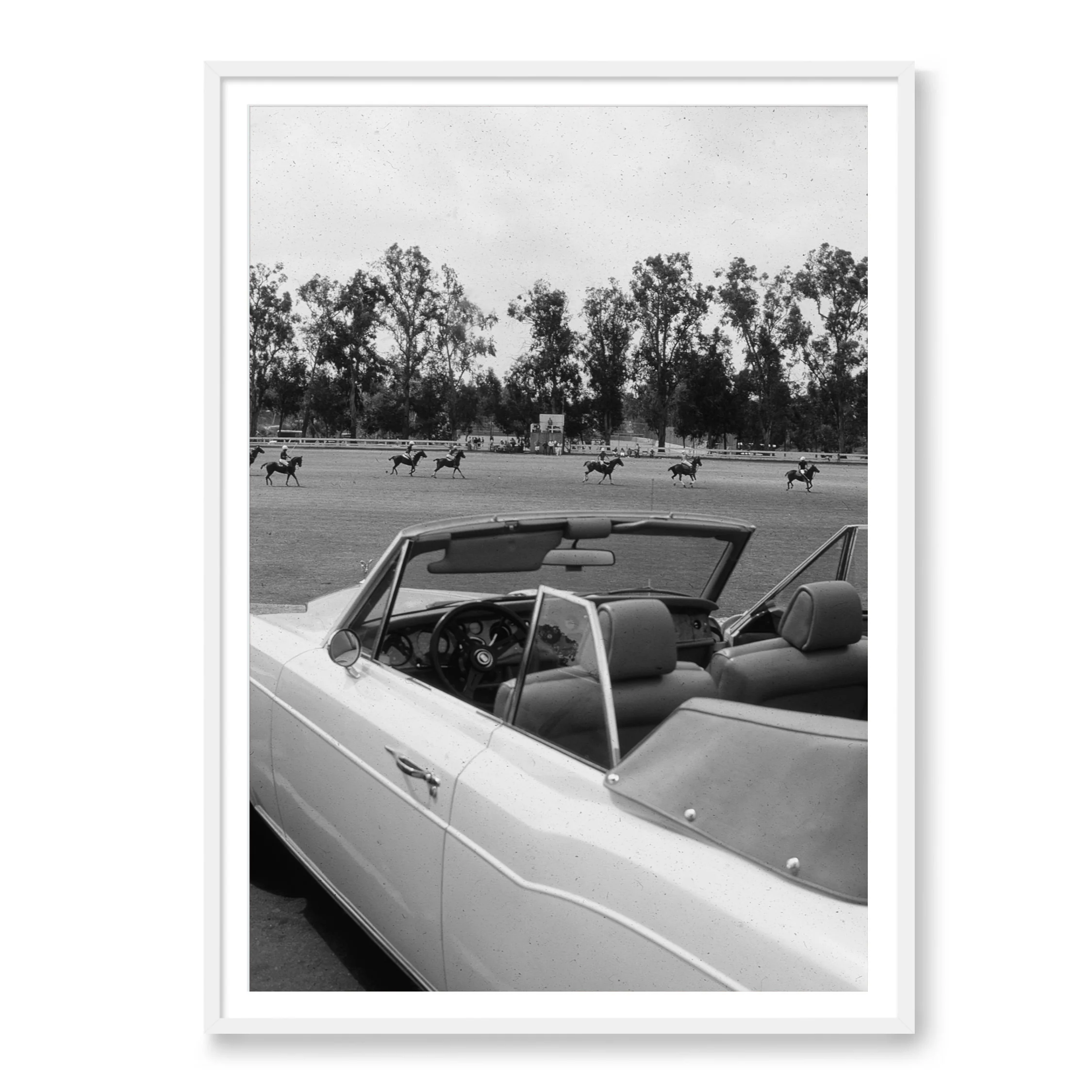 Polo in Los Angeles - Image 2
