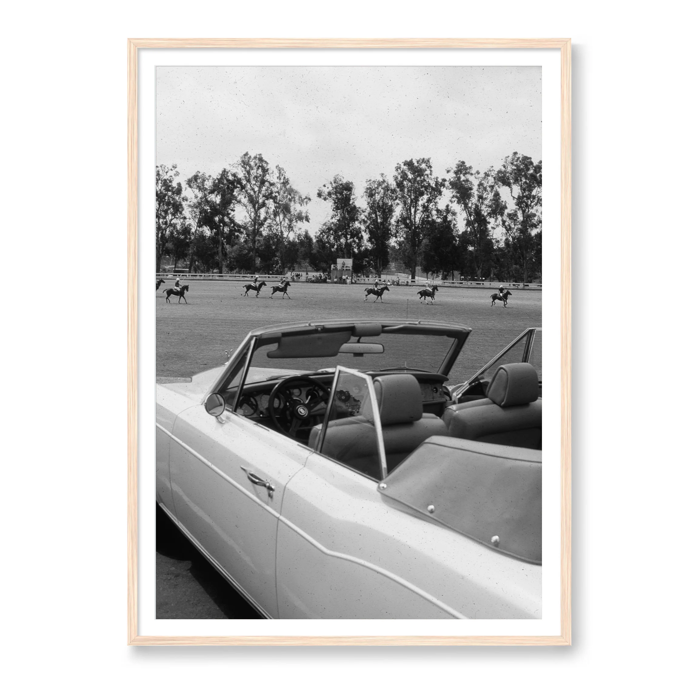 Polo in Los Angeles - Image 3