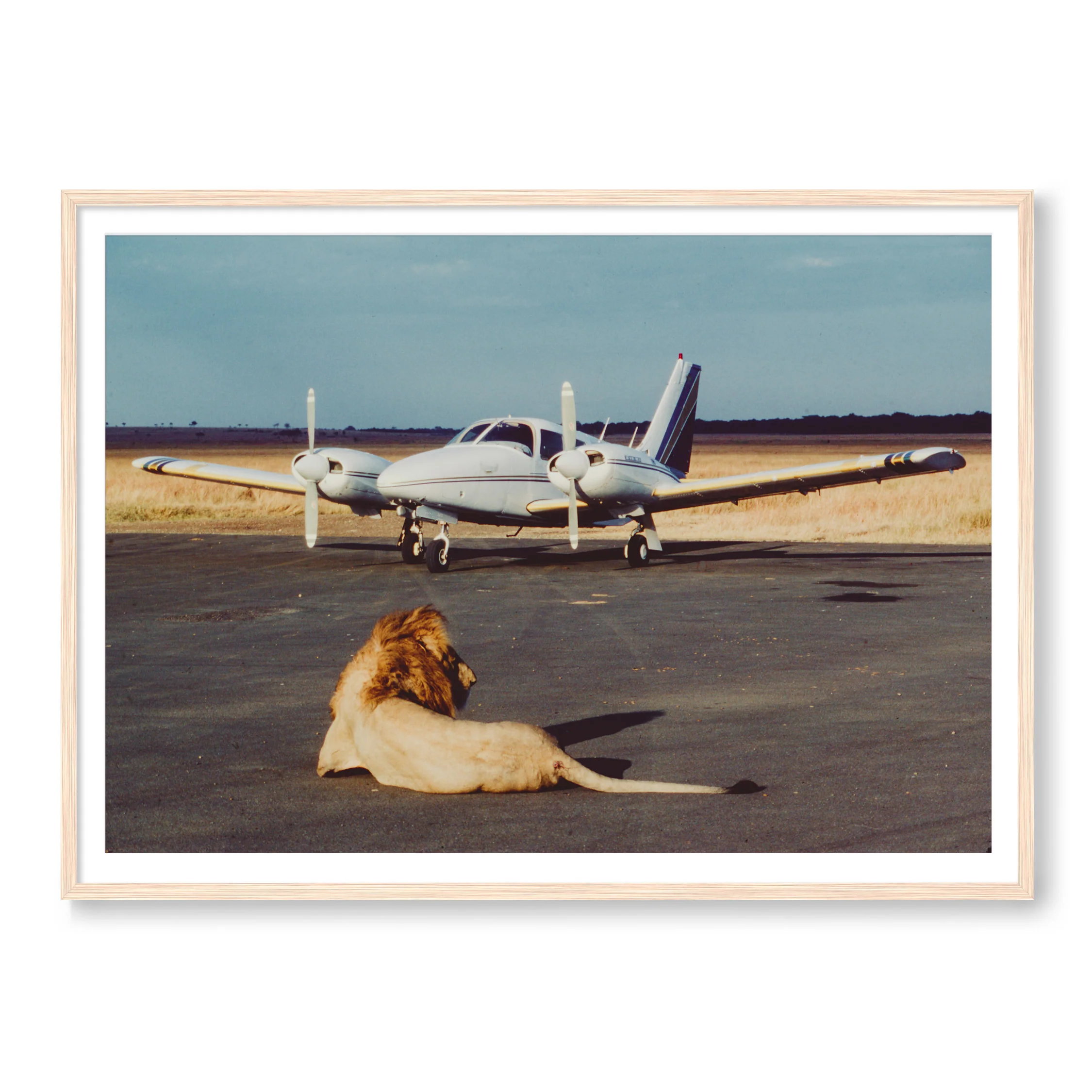 Private Parking - Image 3