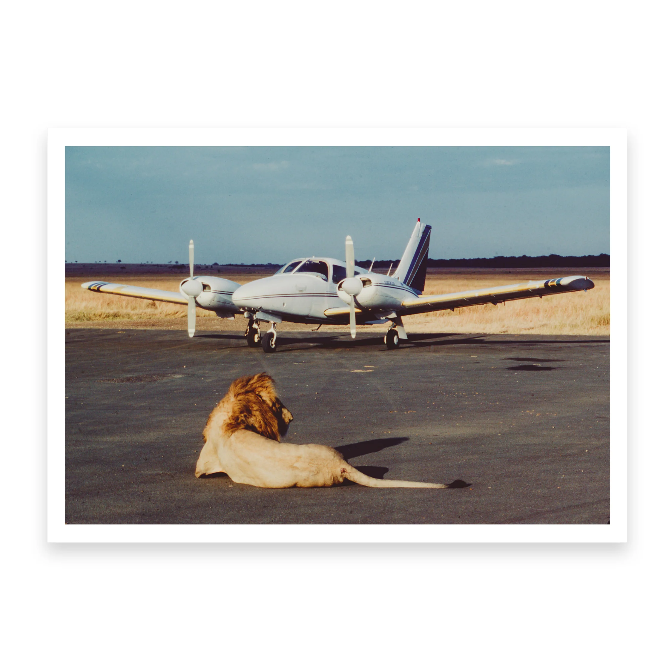 Private Parking - Image 4