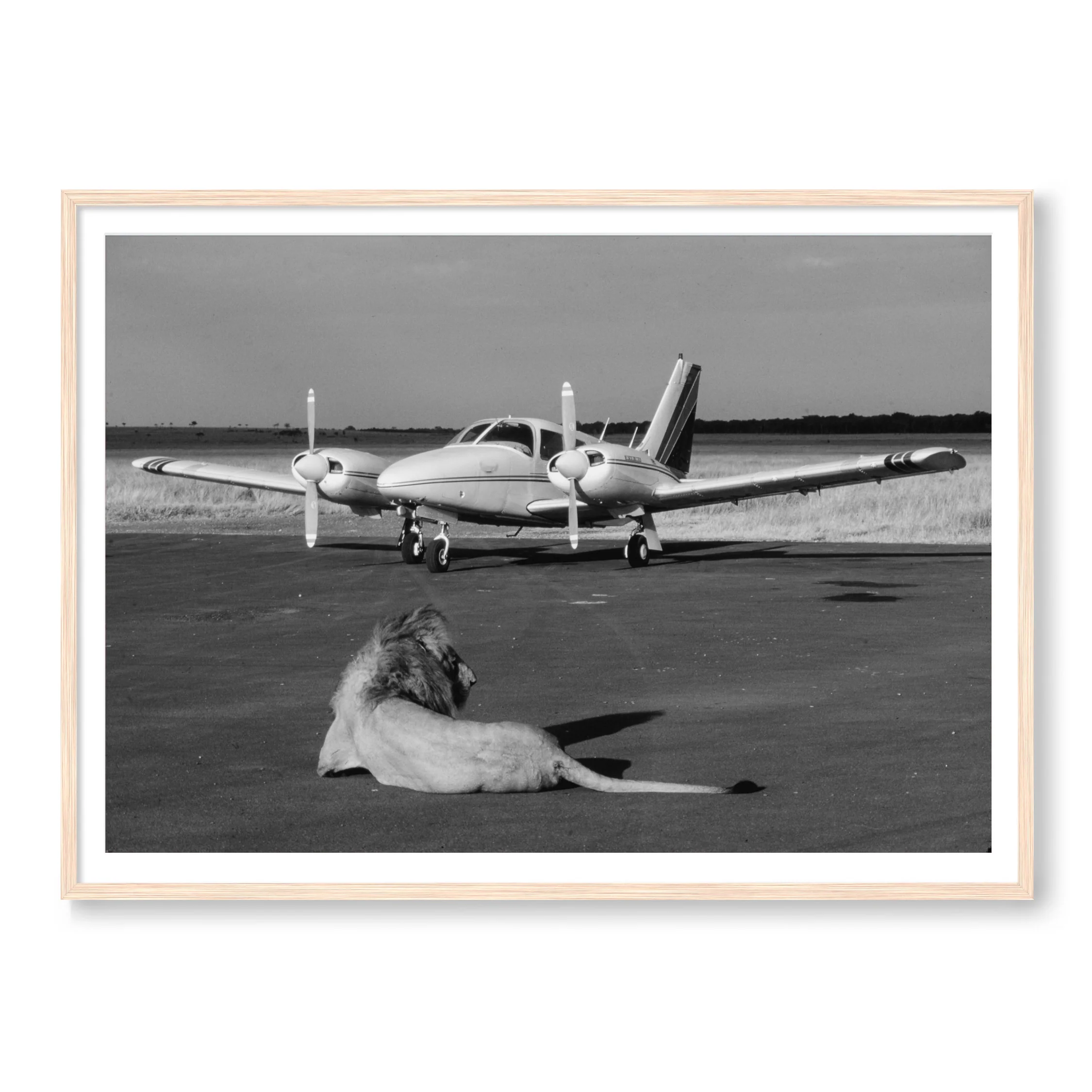 Private Parking B&W - Image 3
