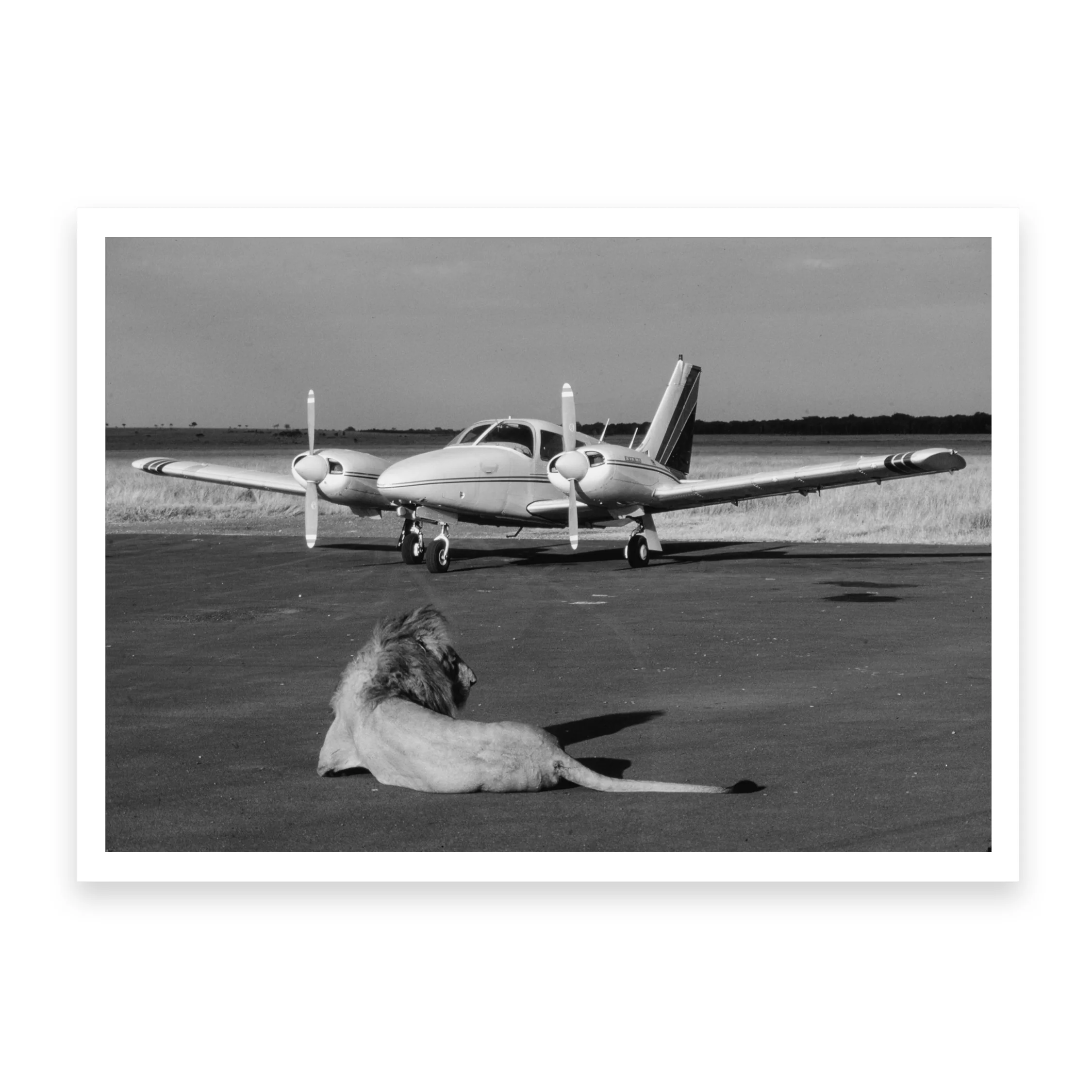 Private Parking B&W - Image 4