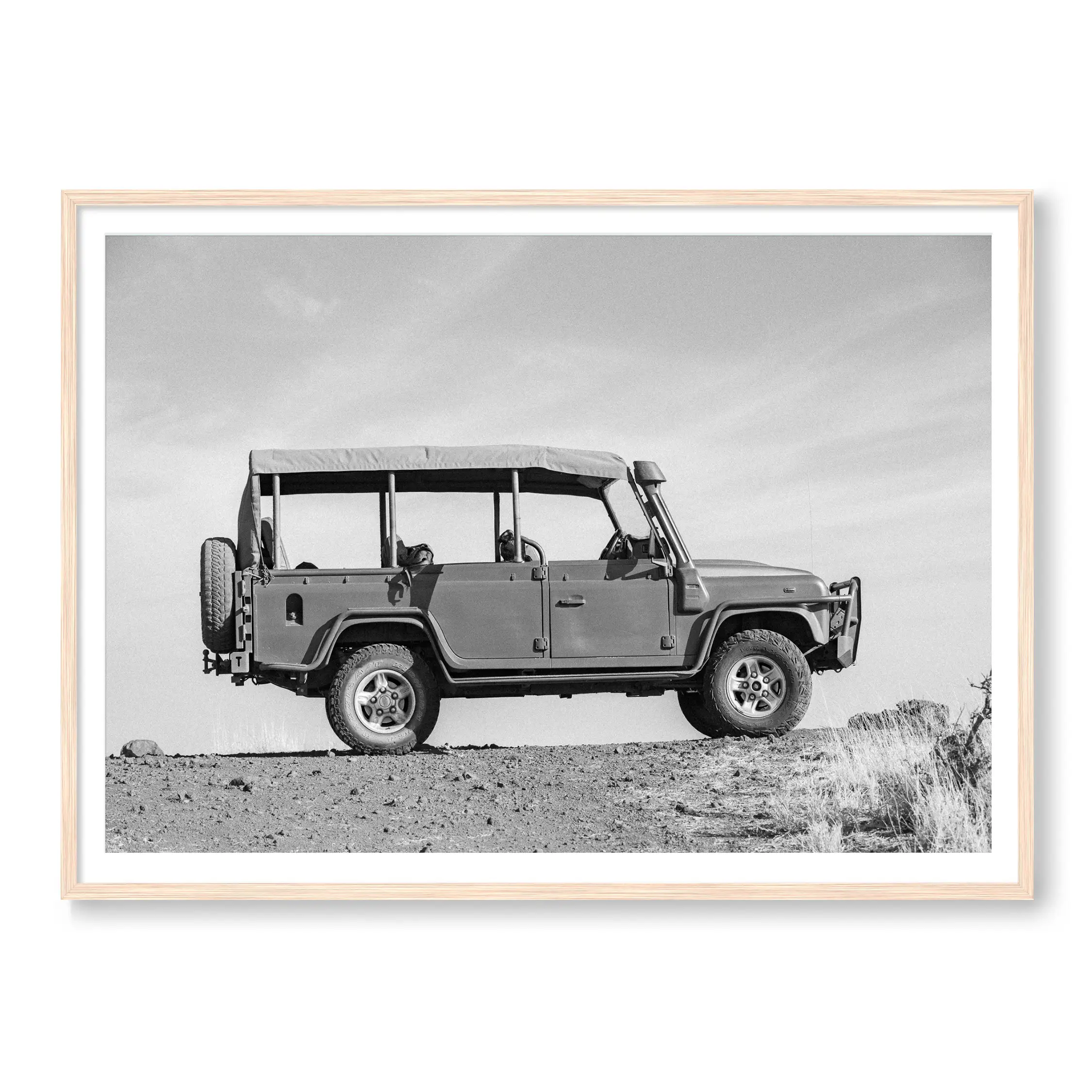 Safari Ride BW - Image 3