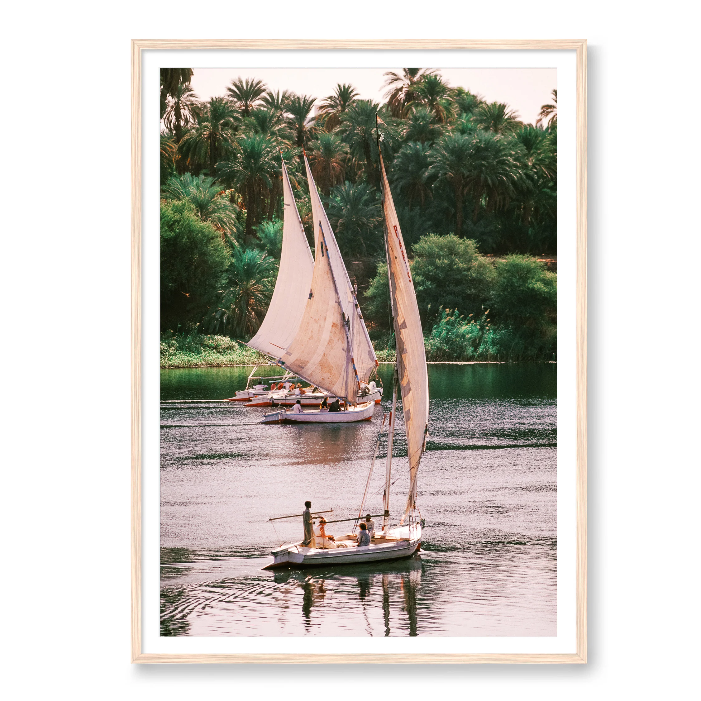 Sailing on the Nile - Image 3