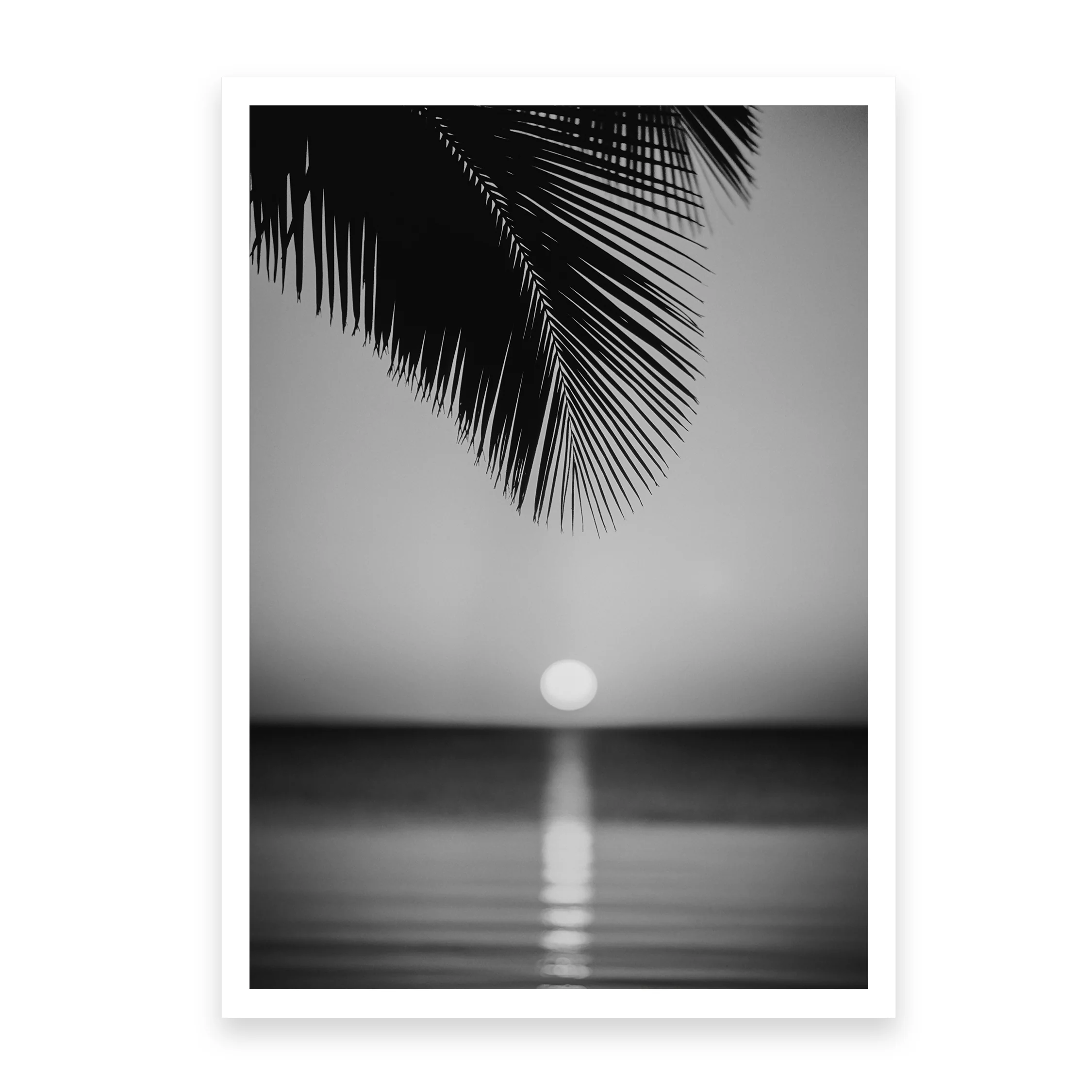 SUN DROP - Image 4