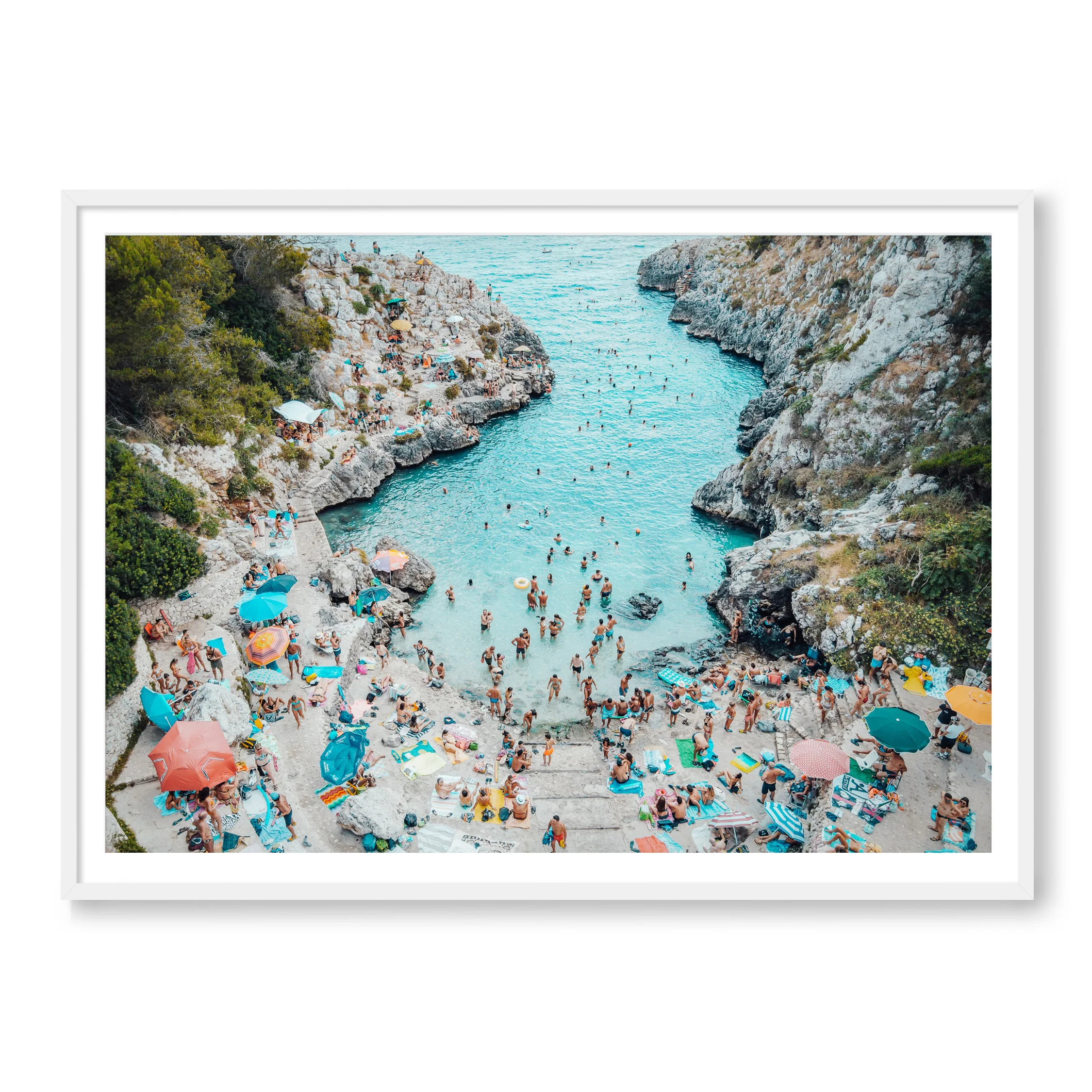 The Cove - Image 2
