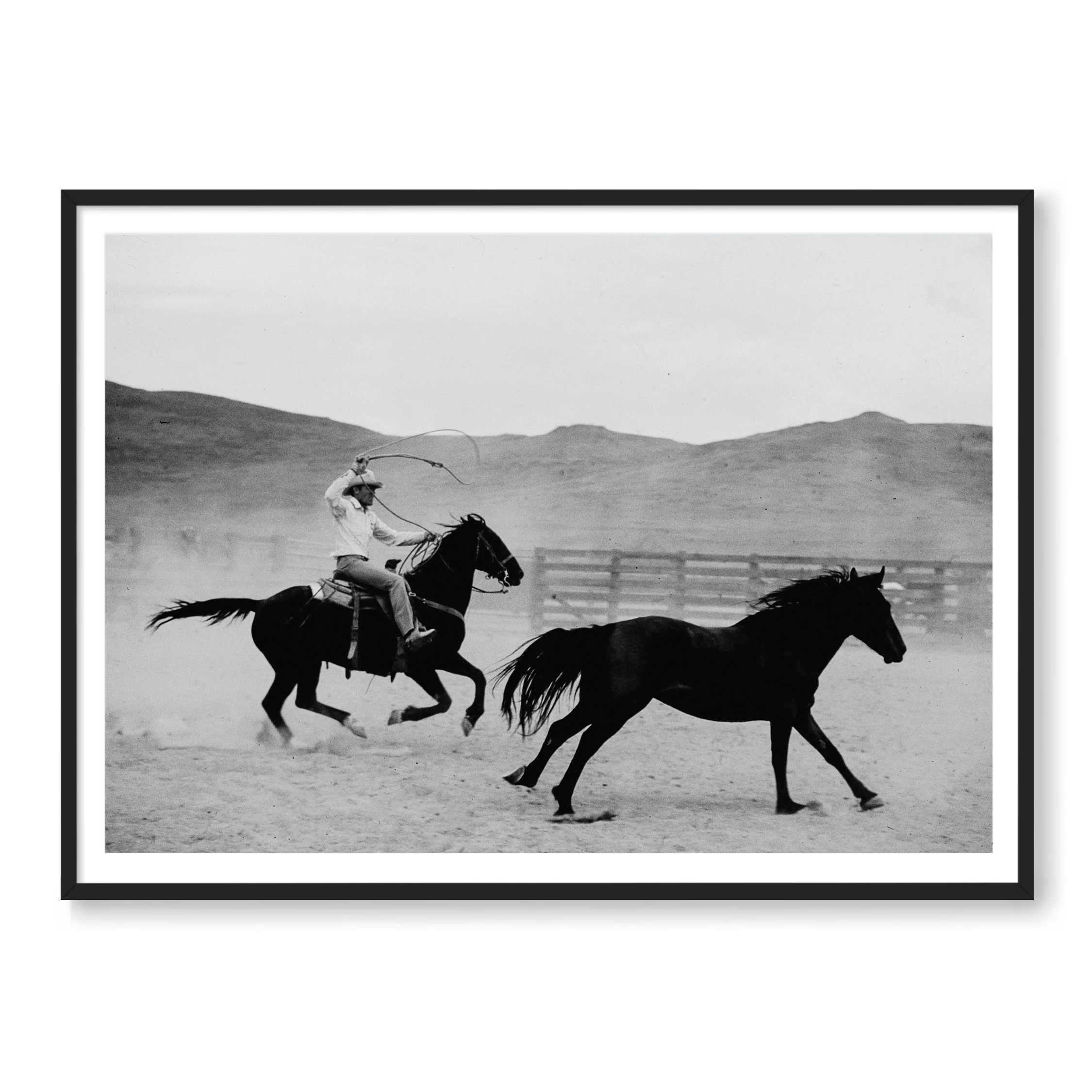 The Mustang B&W