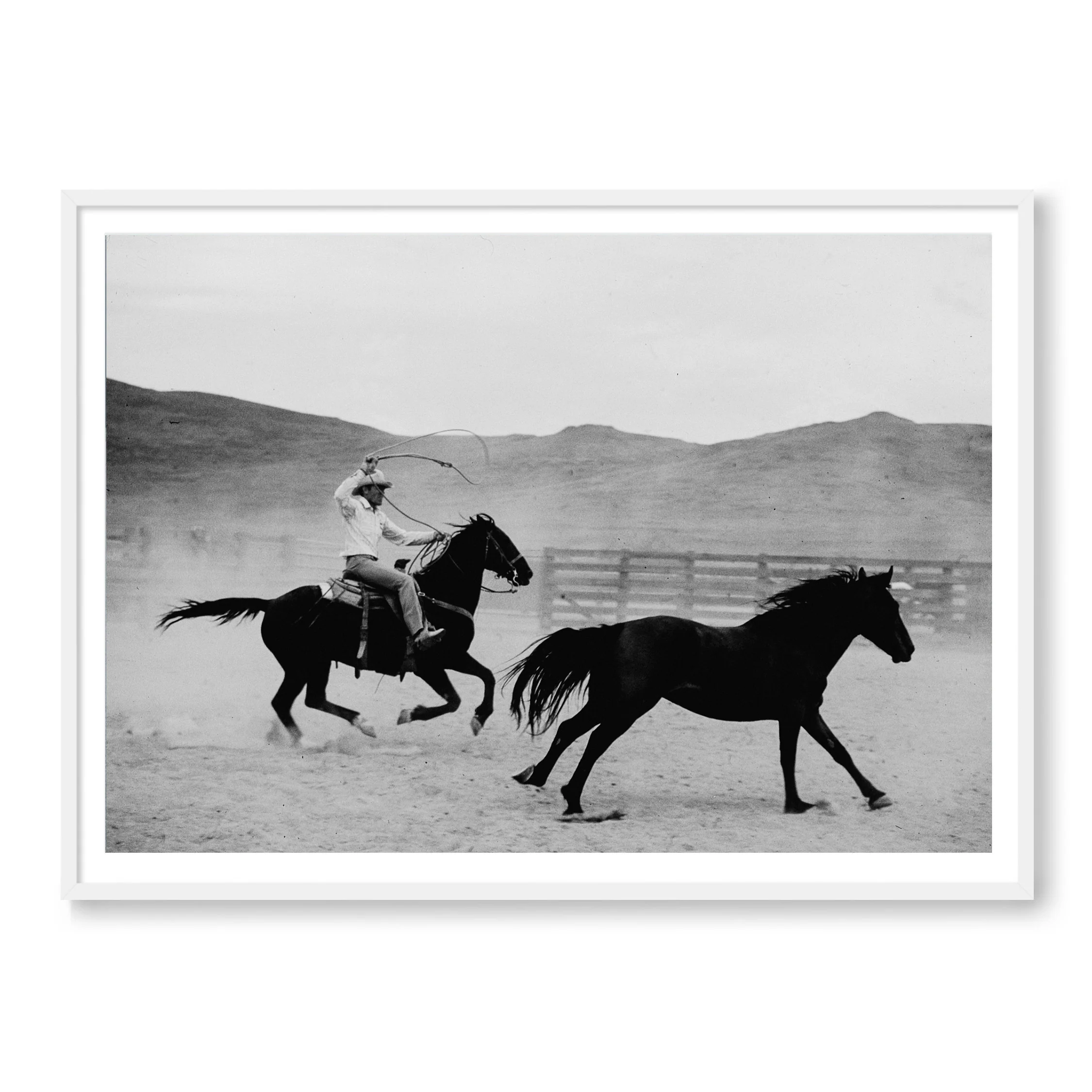 The Mustang B&W - Image 2