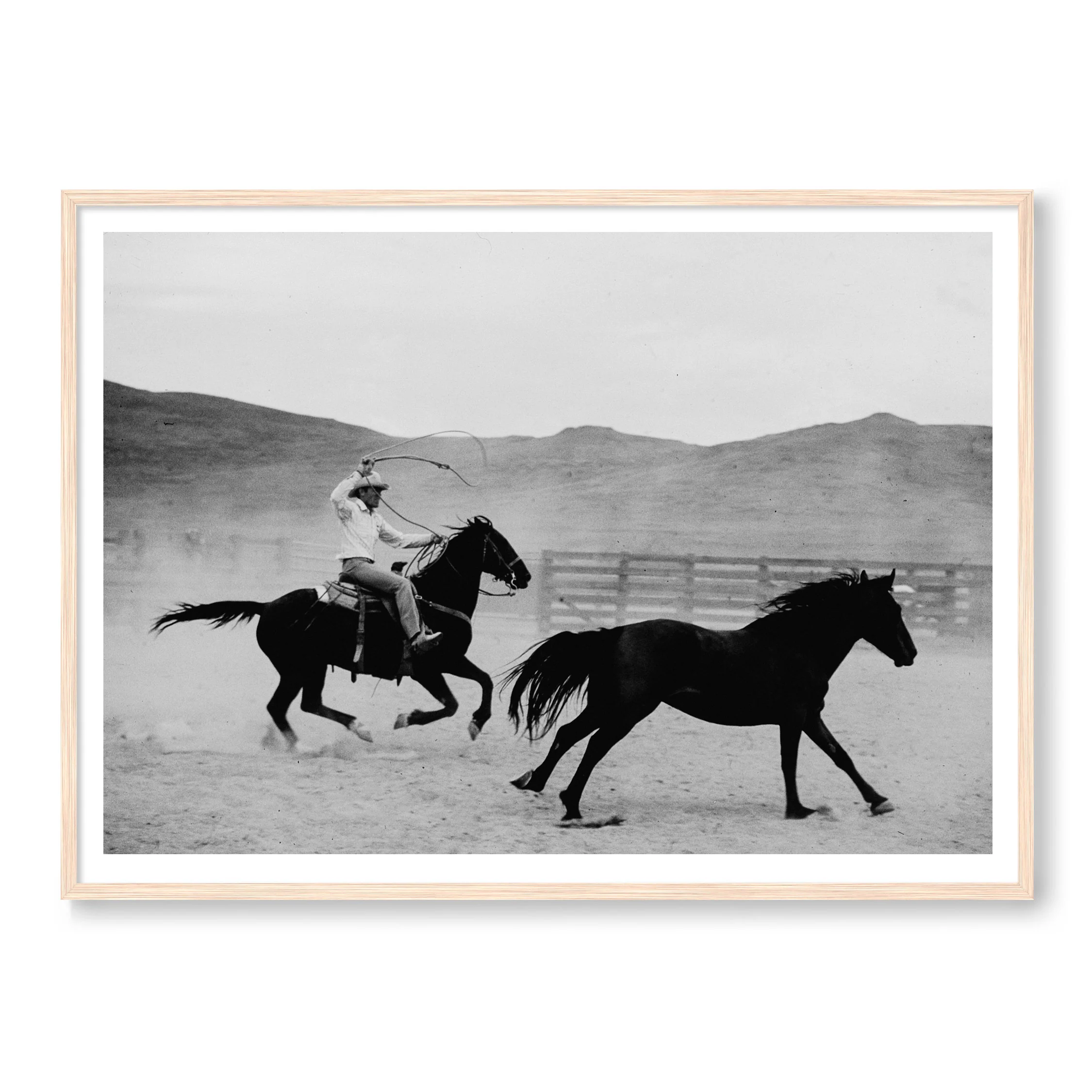 The Mustang B&W - Image 3