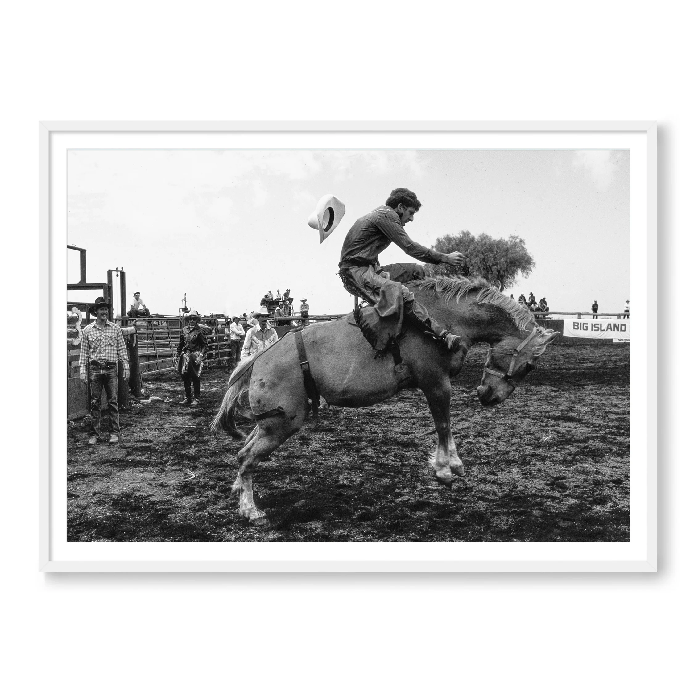 The Rodeo - Image 2