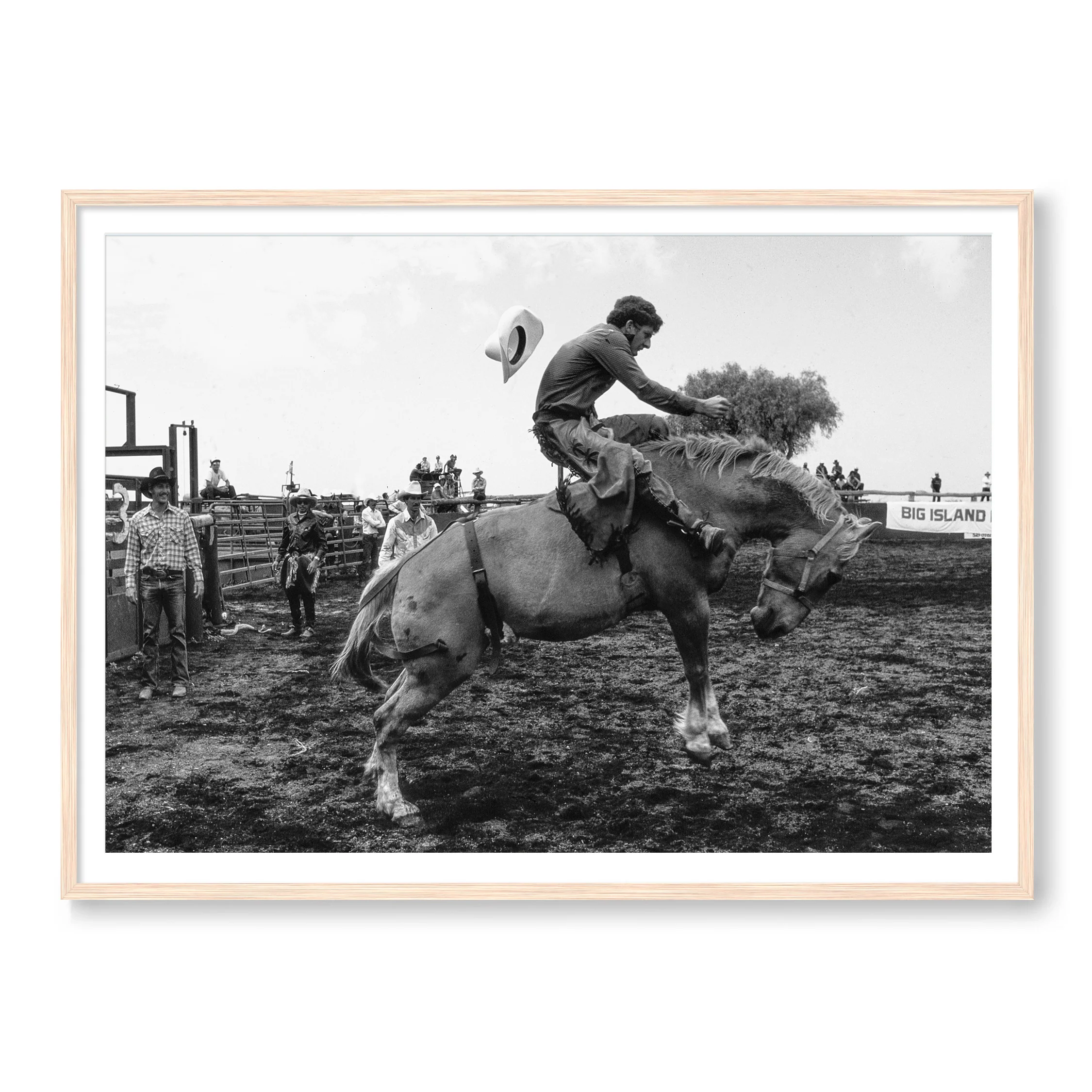 The Rodeo - Image 3