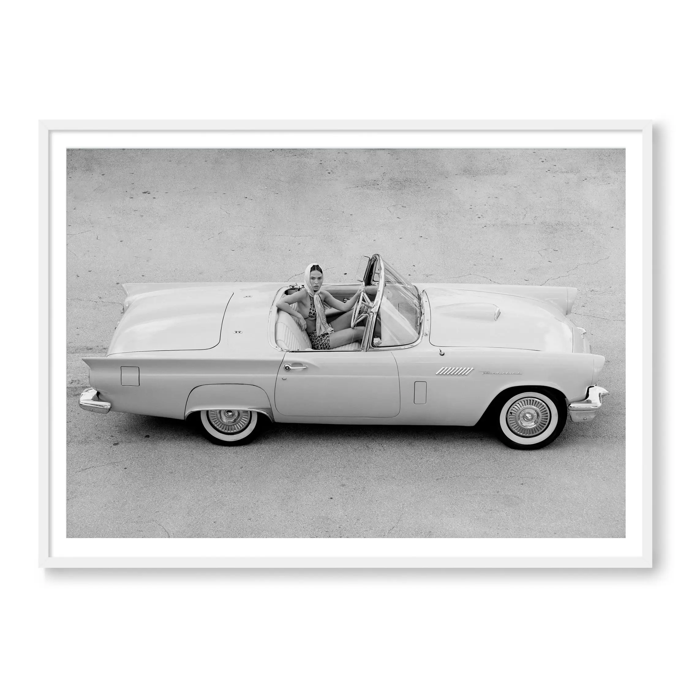 Thunderbird BW - Image 2