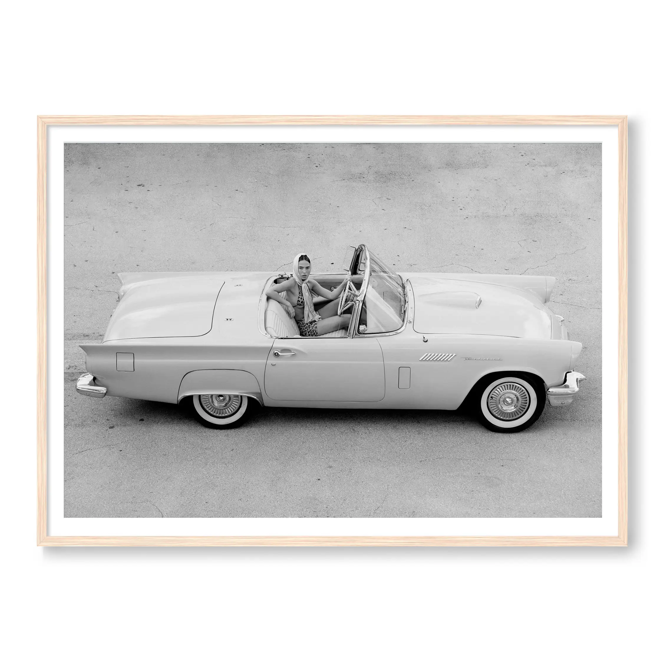 Thunderbird BW - Image 3