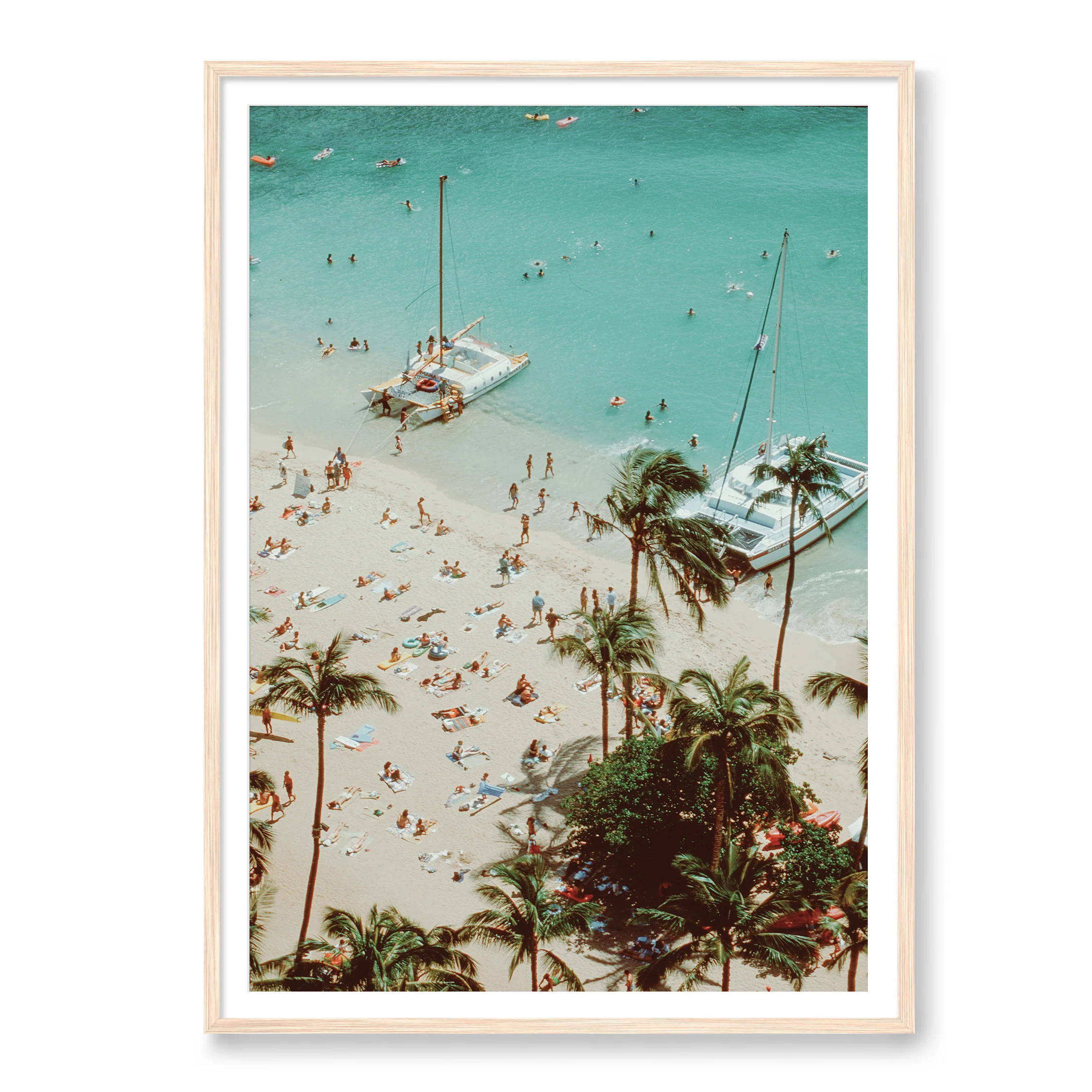 Tropical Paradise - Image 3
