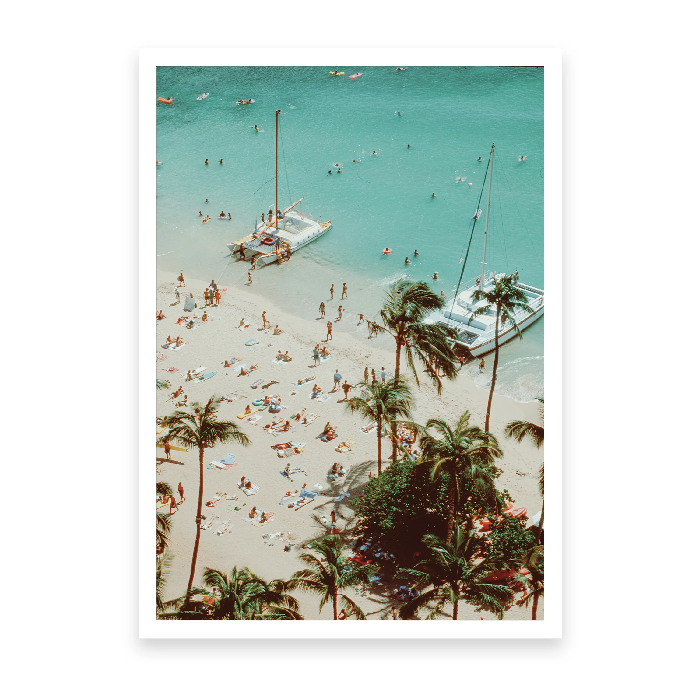 Tropical Paradise - Image 4