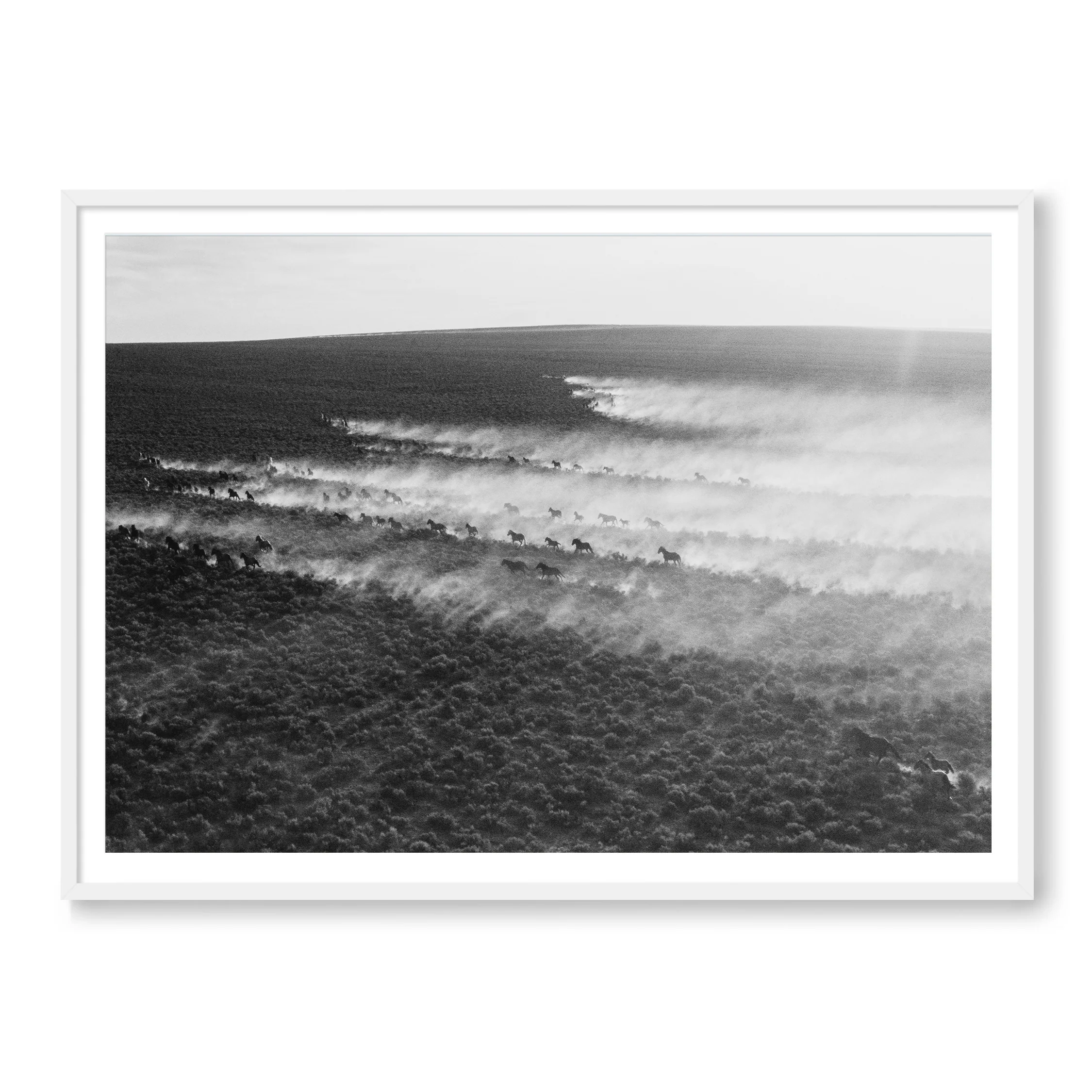 Wild Horses - Image 2