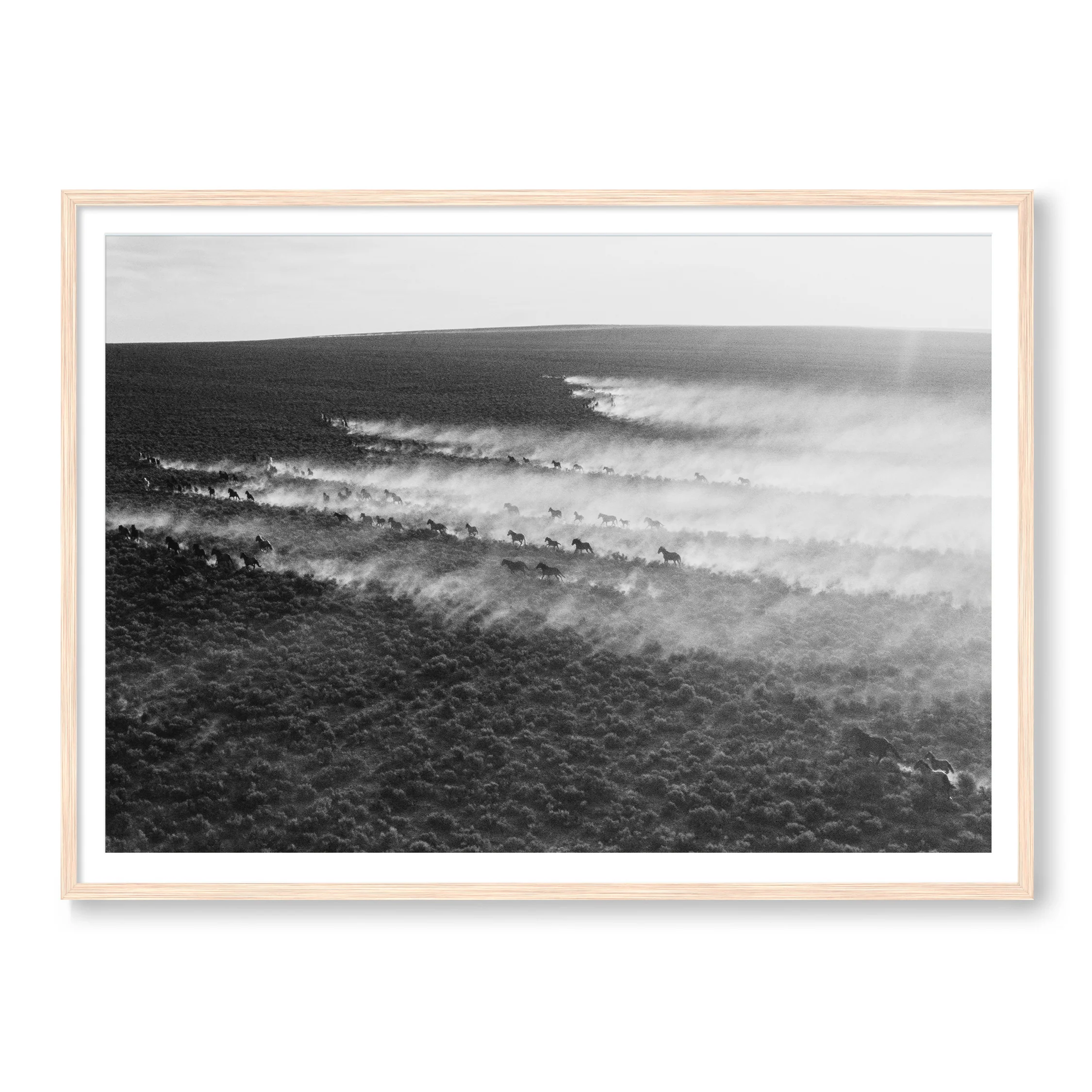 Wild Horses - Image 3