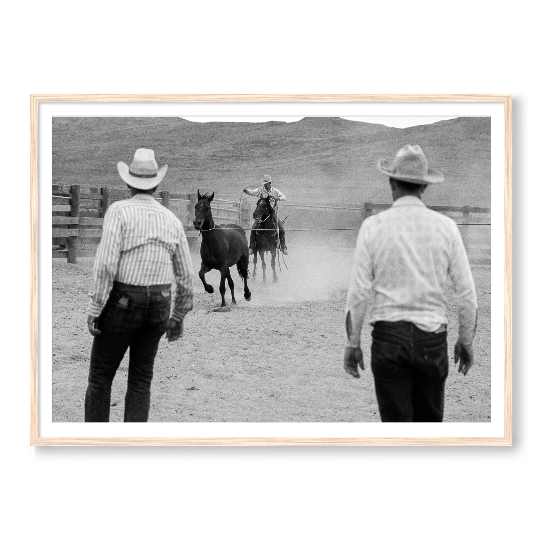 Wranglers & Mustangs - Image 3